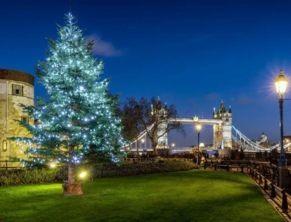 Illuminated Christmas tree on the riverside with Tower Bridge in the background